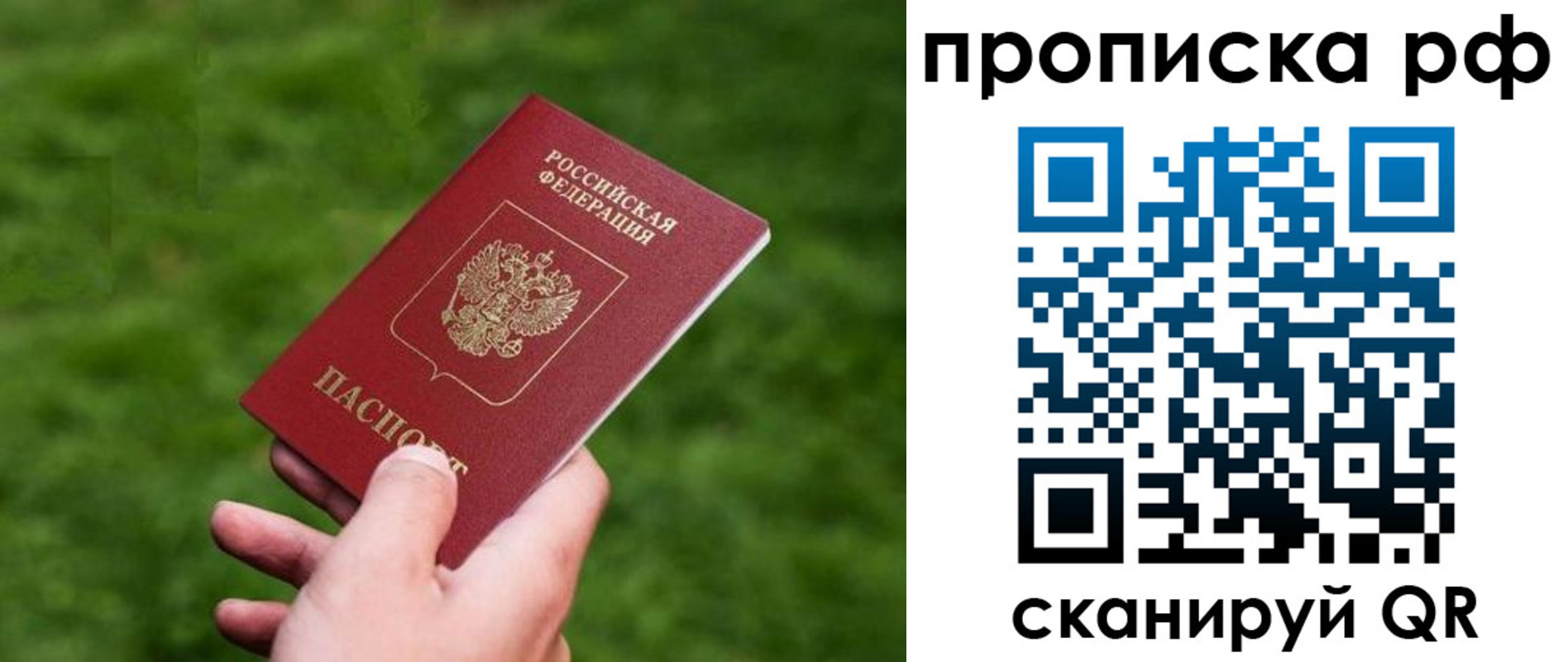 прописка поиск в Лосино-Петровском